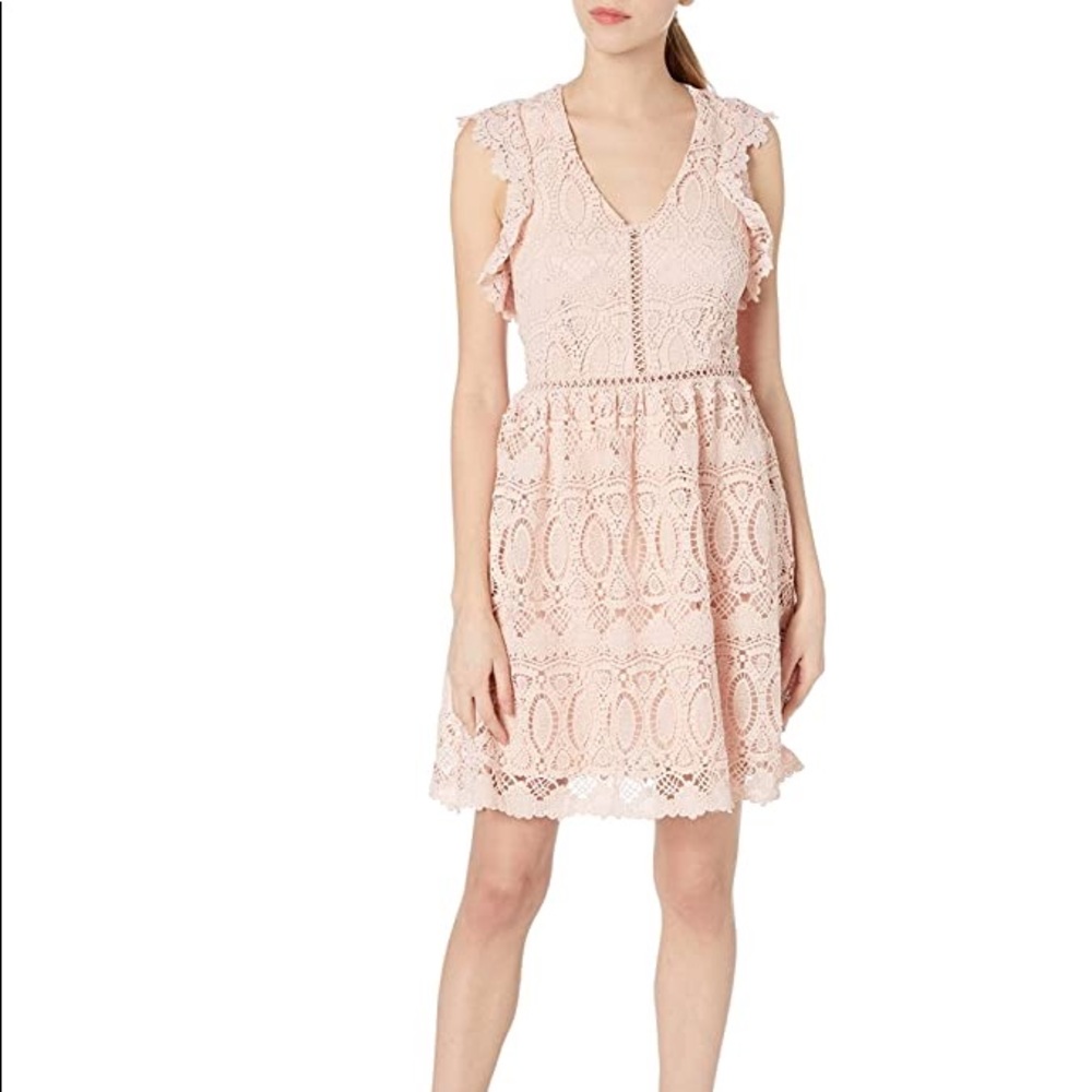 New J.O.A. Lace Fit & Flare Dress